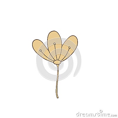 Simple unusual flowers Vector Illustration
