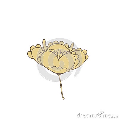 Simple unusual flowers Vector Illustration