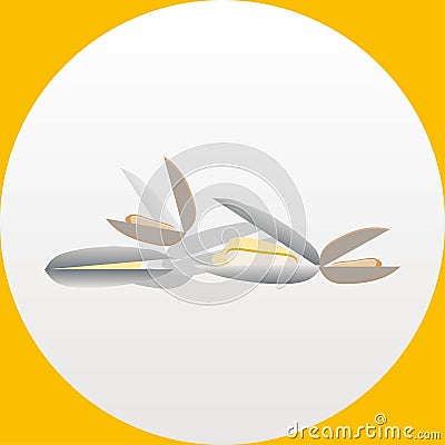 Clams and mussels vector illustration Vector Illustration