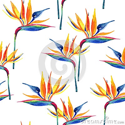 Simple watercolor tropical seamless pattern with bird-of-paradise flower. Cartoon Illustration