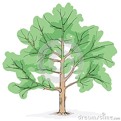 Simplified image - crone of tree Vector Illustration