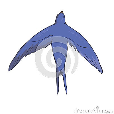 Simplified image of a flying swallow isolated on a white background. Vector Illustration