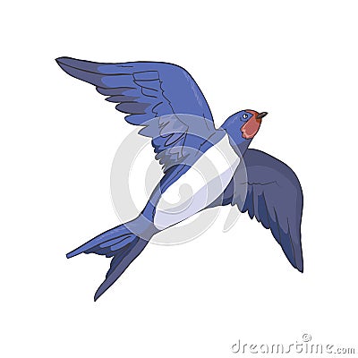 Simplified image of a flying swallow isolated on a white background. Vector Illustration