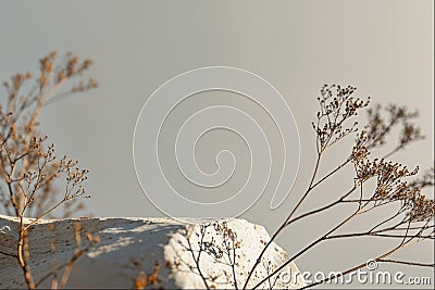 A simplistic product showcase with a textured white stone, adorned with slender twigs of dried flora. The backdrop is a Stock Photo