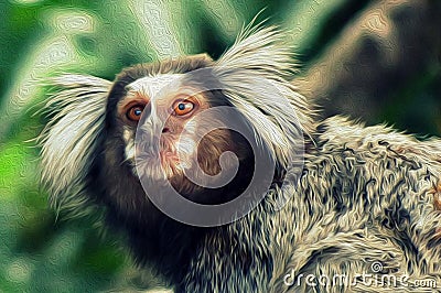 Simulation of oil painting with photograph of a Marmoset Monkey in the Brazilian forest Stock Photo