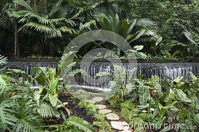 Singapore Botanic Gardens Stock Photo