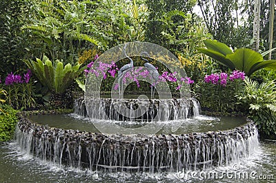 Singapore Botanic Gardens Stock Photo