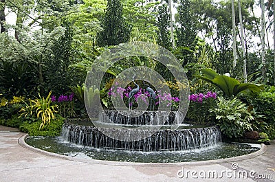 Singapore Botanic Gardens Stock Photo