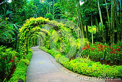 Singapore Botanic Gardens Stock Photo