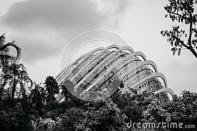 Singapore Garden by the bay, Cloud forest dome botanical garden Editorial Stock Photo