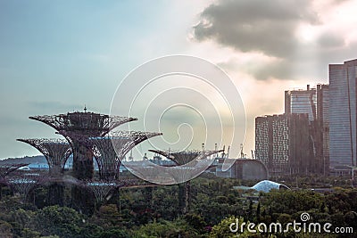 Singapore Garden by the bay supertree Editorial Stock Photo