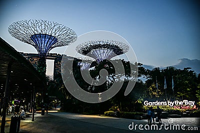 Singapore garden. Buddha, chinatown. Supertrees in Gardens By the Bay, situated in marina bay area in Singapore, it`s a new design Editorial Stock Photo