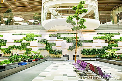 SINGAPORE, SINGAPORE - MARCH 2019: Luggage arriving among lush green plants in Changi Airport. Singapore Changi Airport, is the Editorial Stock Photo