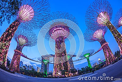 SINGAPORE - MARCH 27: Night view of Supertree Grove at Gardens b Editorial Stock Photo