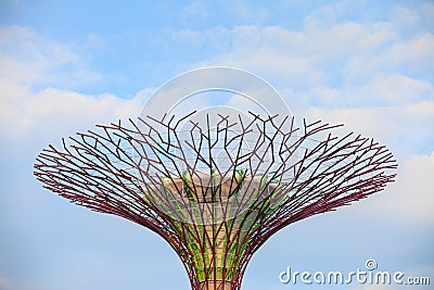 SINGAPORE - MARCH 27: Night view of Supertree Grove at Gardens b Editorial Stock Photo