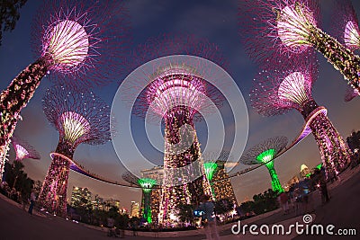 SINGAPORE - MARCH 27: Night view of Supertree Grove at Gardens b Editorial Stock Photo