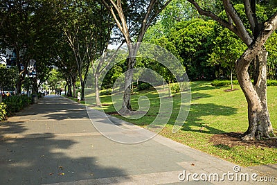 Singapore - May 1 2016: Clean sidewalk and green park along orchard rd in Singapore Editorial Stock Photo