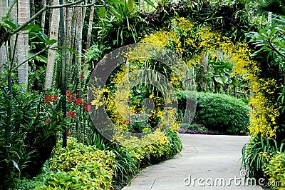 Singapore: National Orchid Garden Stock Photo