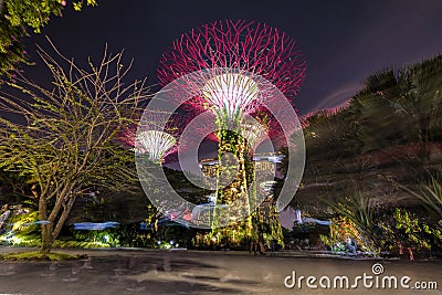 Singapore, September 29: Gardens by the Bay. Night view of the light tree show in Singapore Editorial Stock Photo