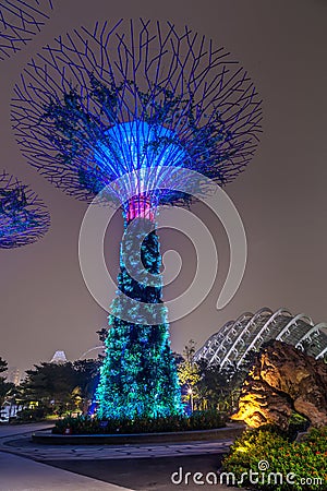Singapore, Singapore - circa September 2015: Supertree Grove in Gardens by the Bay, Singapore Editorial Stock Photo