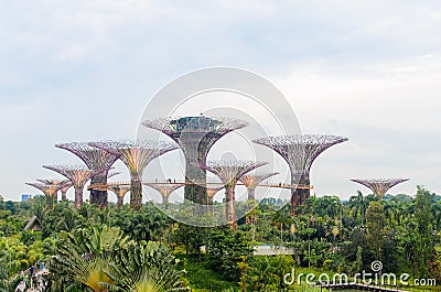 Singapore, Singapore - September 20, 2014: Flower Dome and Super tree at Garden by the bay Editorial Stock Photo
