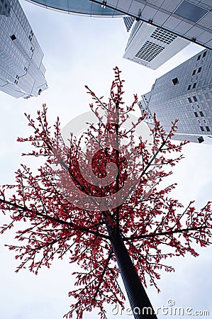 Singapore skyscrapers and tree seen looking up Stock Photo