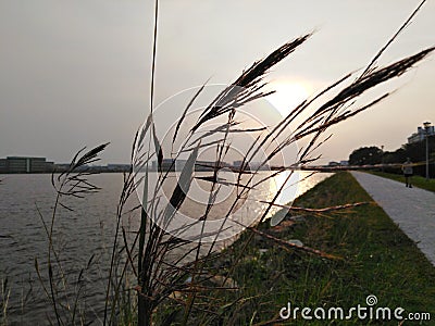 The sunset by the lakein Singapore Stock Photo