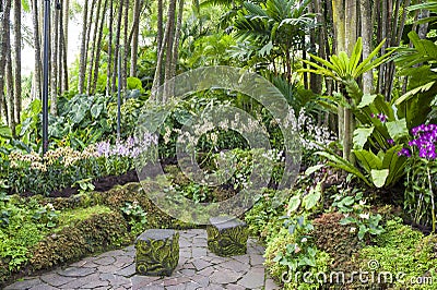 Singapure botanic garden Stock Photo