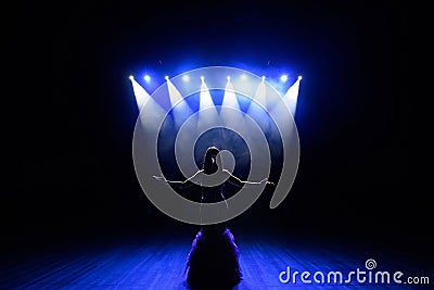 Singer performing on stage with lights. Concert. View from the auditorium Stock Photo