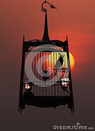 Singing bird in cage, against the setting sun Stock Photo
