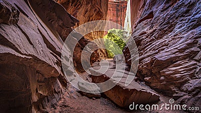 Singing Slot Canyon on the Burr Trail Stock Photo