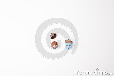 a single acorn with a white string loop attached to its cap, set against a white background. string suggests it could Stock Photo