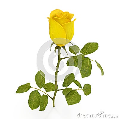 Single beautiful yellow rose isolated on white. 3D illustration Cartoon Illustration