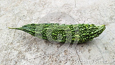 Single bitter gourd on ground at home. Bitter gourd image Stock Photo