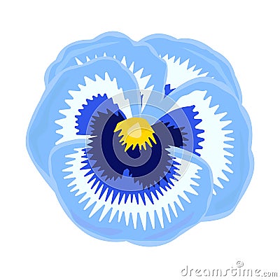 Single blue pansy close-up Vector Illustration