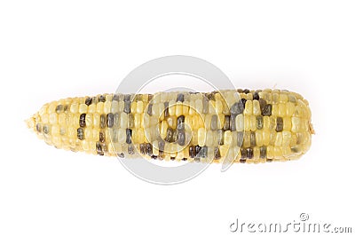 Single boiled waxy corn Stock Photo