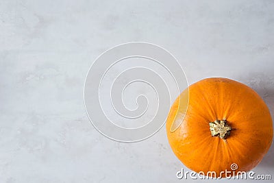 Single Bright Orange Pumpkin on Grey Stone Background. Autumn Fall Thanksgiving Harvest. Stock Photo