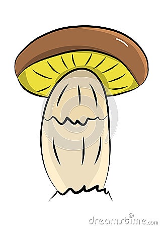 Single brown boletus mushroom in adult form, hand drawn vector illustration Vector Illustration