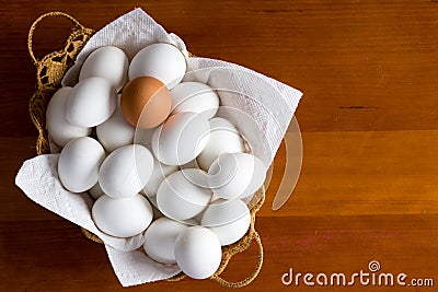 Single brown egg among many white ones Stock Photo