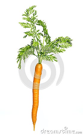 Single carrot Stock Photo