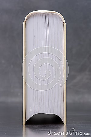 Single closed book on modern shelf Stock Photo