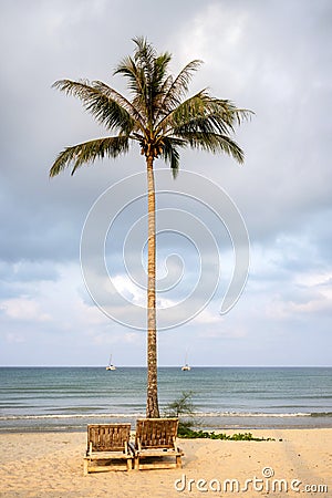 A single coconut tree lone by the sea There were two beach chairs laid next to each other on the sand Stock Photo