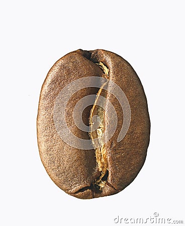 bean coffee single isolated background dreamstime