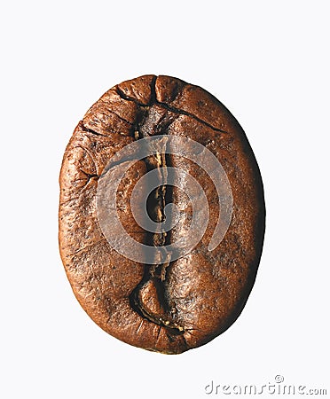 Single coffee bean Stock Photo