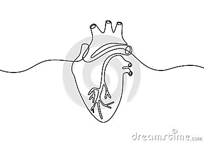 Single continuous line art anatomical human heart silhouette. Isolated heart on white background. Healthy medicine concept design Vector Illustration