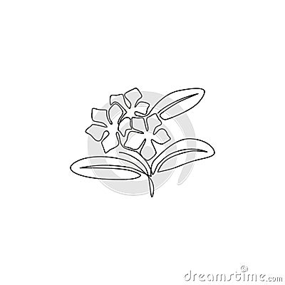 Single continuous line drawing of beauty fresh vinca for home wall art decor poster. Printable decorative periwinkle flower for Vector Illustration