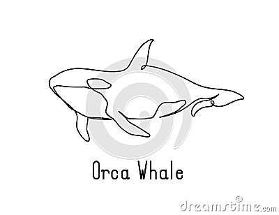 Single continuous line drawing of orca whale for marine company logo identity Vector Illustration