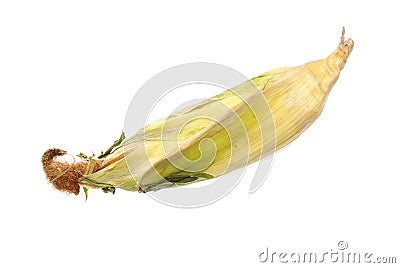 Single corn Stock Photo