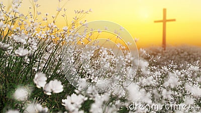 A single cross in a beautiful meadow of white wildflowers Stock Photo