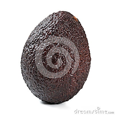 Single dark brown bilse variety ripe avocado isolated on white background Stock Photo